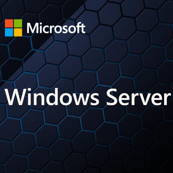 Image of WINDOWS SERVER CAL 2025 IT 1DEV CAL 074