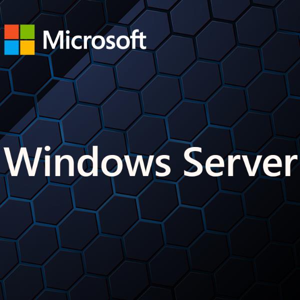 Image of WINDOWS SERVER CAL 2025 IT 5DEV CAL 074