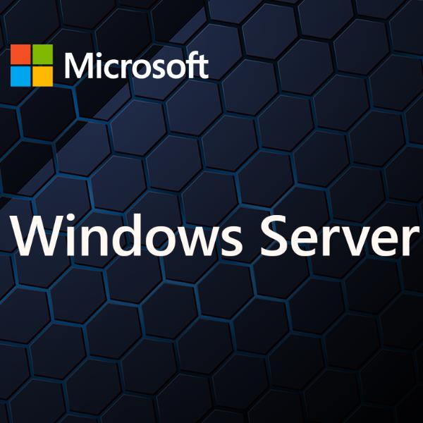 Image of WINDOWS SERVER CAL 2025IT 1U CAL 074