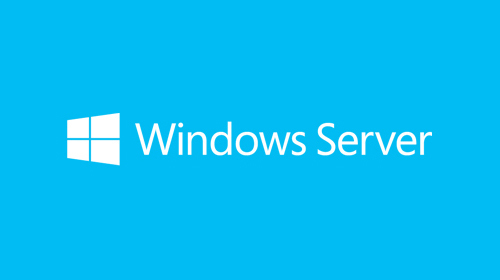 Image of Microsoft Windows Server 2019 Client Access License (CAL) 074