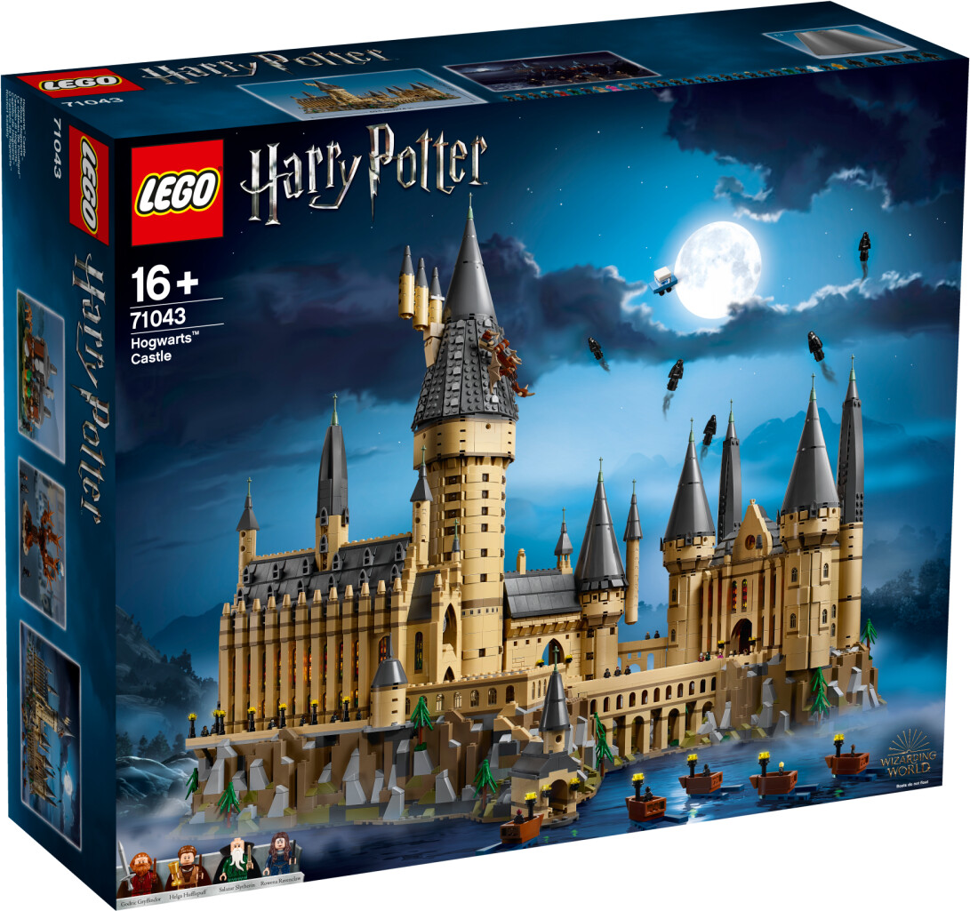 Image of LEGO Harry Potter 71043 Castello di Hogwarts Gioco da Costruire per Ragazzi e Adulti Modello da Esposizione con Minifigure 074