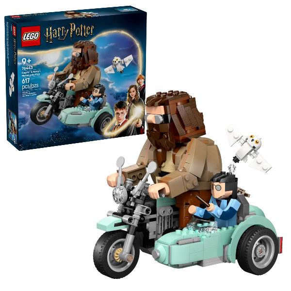 Image of GIRO SUL SIDECAR DI HAGRID E HARRY 074