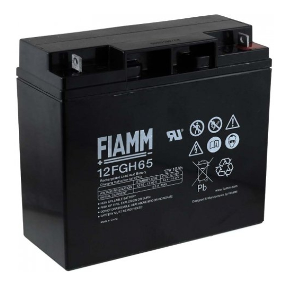 Image of BATTERIA UPS FIAMM 12V 18 AH HIGH RATE 074