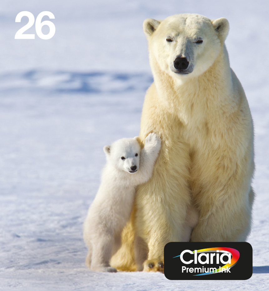 Image of Epson Polar bear Multipack 4-colours 26 EasyMail