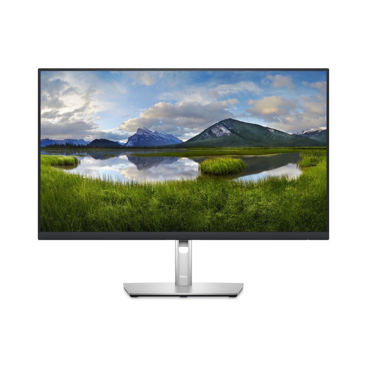 Image of DELL 27 MONITOR P2723D 68,6CM (27 ) 074